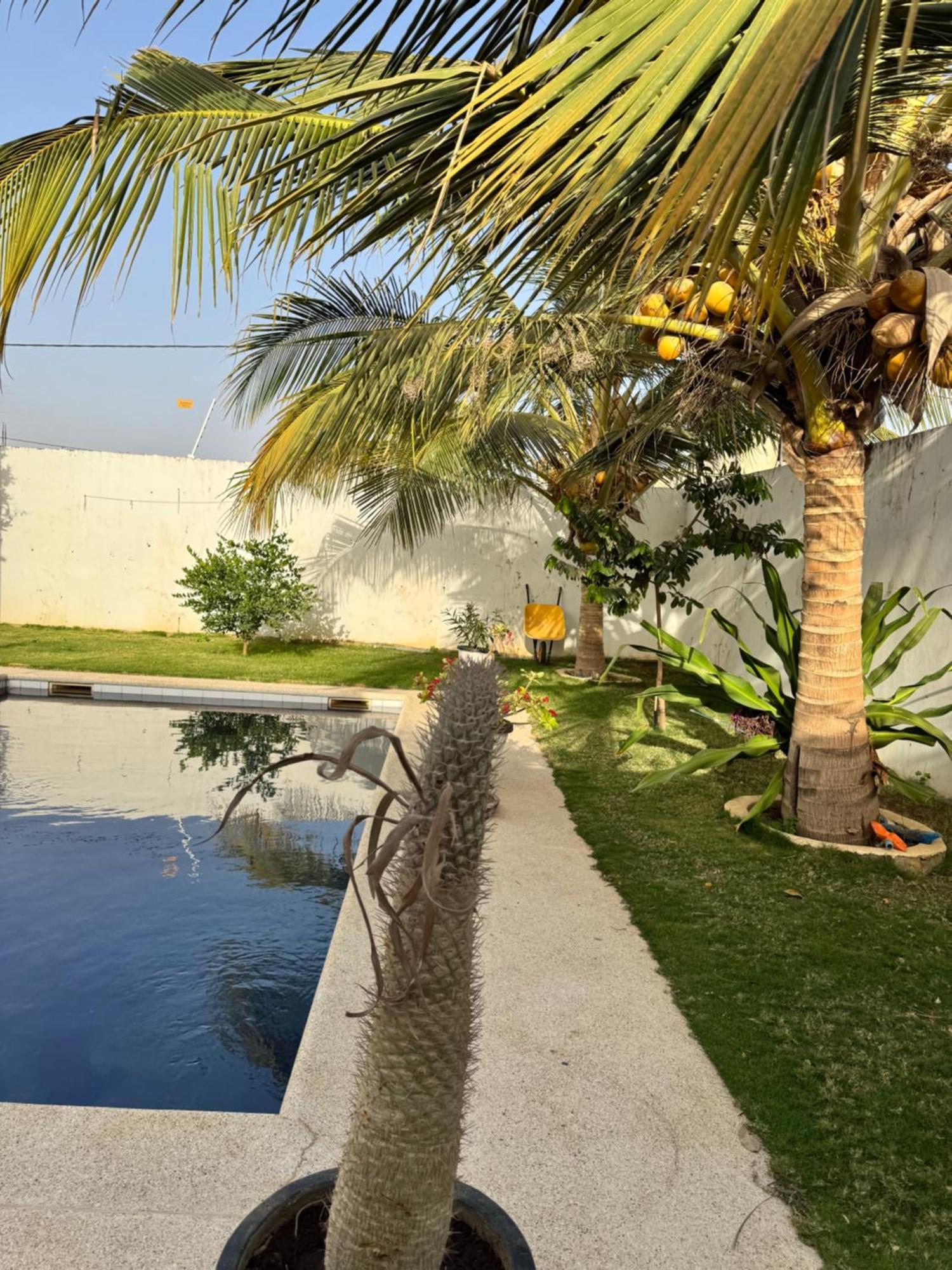 La Baraka, Extravagant Villa For 8 With Pool In Saly Gandigal Екстер'єр фото